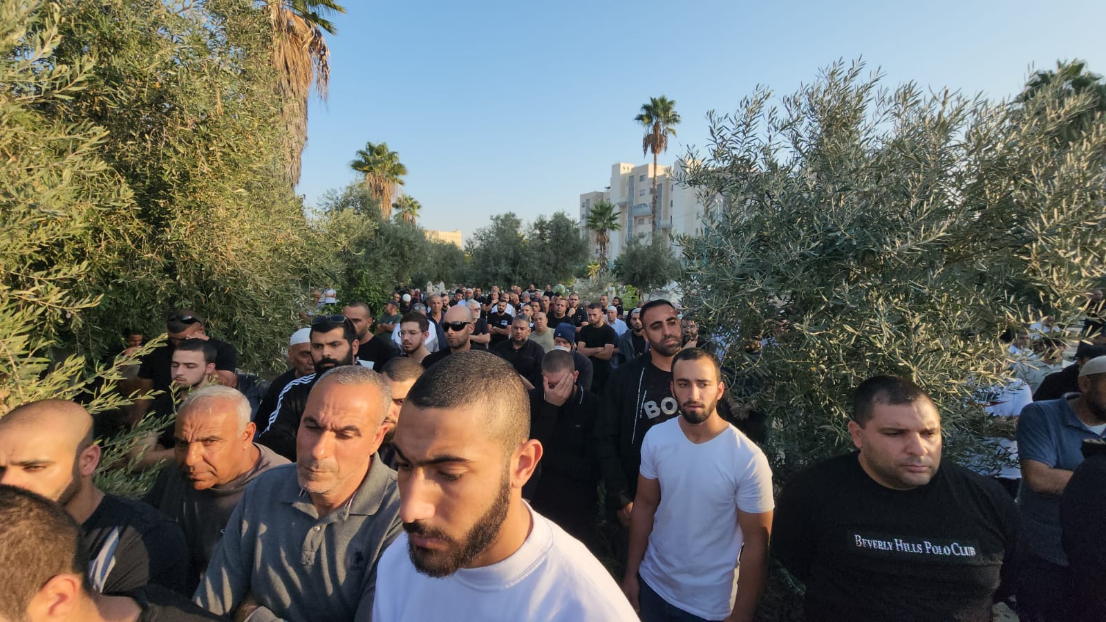 WhatsApp Image 2022-11-12 at 4.36.02 PM.jpeg